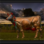The Cow