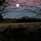 Moonrise Kentucky
