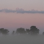 Dawn's Pastel Pallette